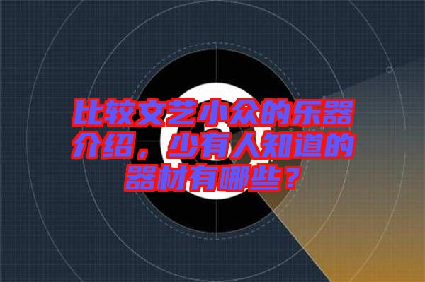 比較文藝小眾的樂器介紹，少有人知道的器材有哪些？