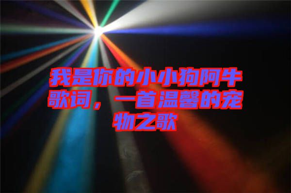 我是你的小小狗阿牛歌詞，一首溫馨的寵物之歌