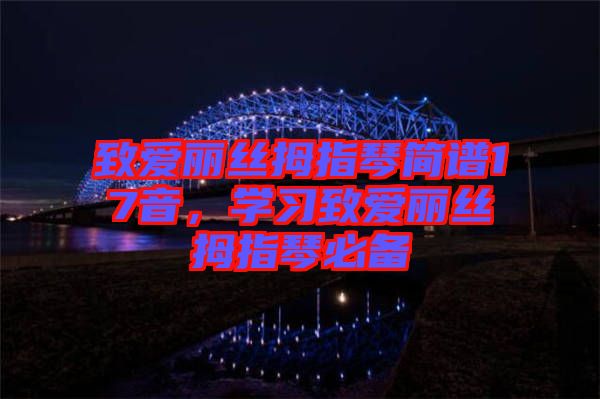 致愛麗絲拇指琴簡譜17音，學習致愛麗絲拇指琴必備