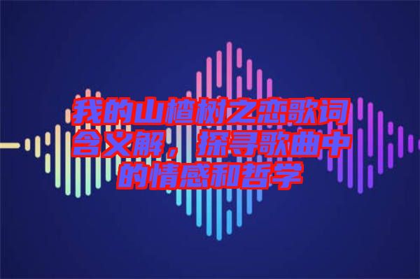 我的山楂樹之戀歌詞含義解，探尋歌曲中的情感和哲學(xué)