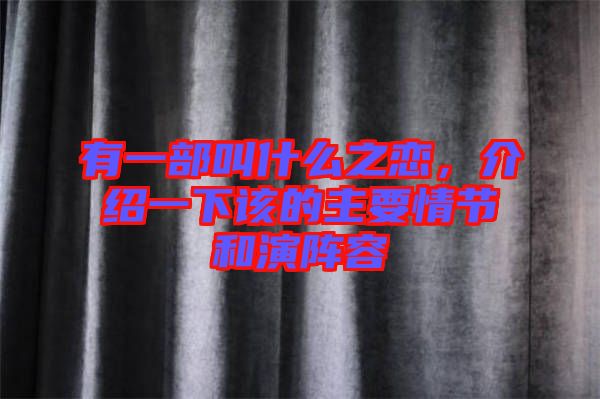 有一部叫什么之戀，介紹一下該的主要情節(jié)和演陣容