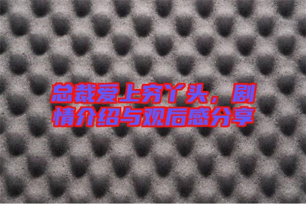 總裁愛上窮丫頭，劇情介紹與觀后感分享