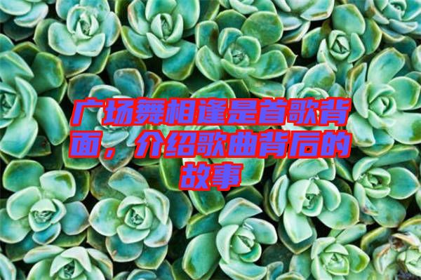 廣場舞相逢是首歌背面，介紹歌曲背后的故事