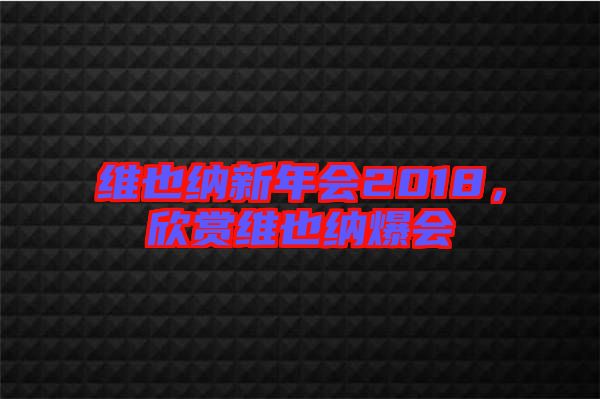 維也納新年會2018，欣賞維也納爆會