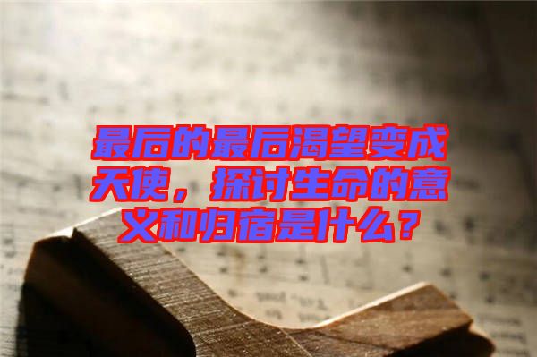 最后的最后渴望變成天使，探討生命的意義和歸宿是什么？