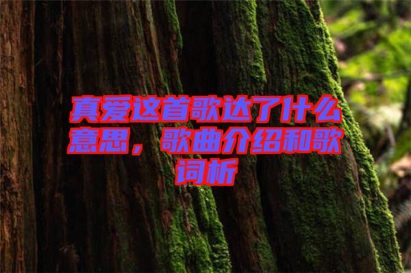 真愛(ài)這首歌達(dá)了什么意思，歌曲介紹和歌詞析