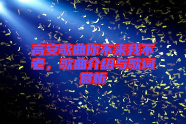 高安歌曲你不來(lái)我不老，歌曲介紹與歌詞賞析