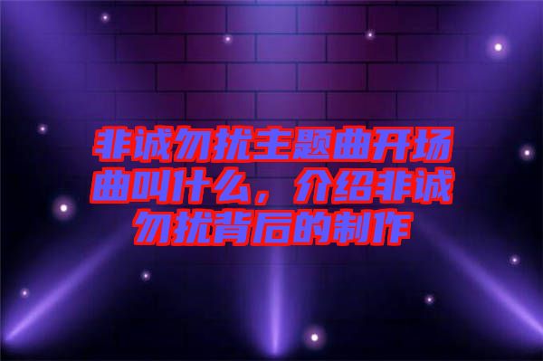 非誠(chéng)勿擾主題曲開(kāi)場(chǎng)曲叫什么，介紹非誠(chéng)勿擾背后的制作