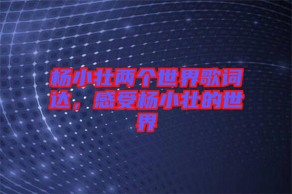 楊小壯兩個(gè)世界歌詞達(dá)，感受楊小壯的世界