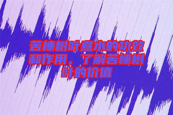 苦楝樹葉煮水的功效和作用，了解苦楝樹葉的價值