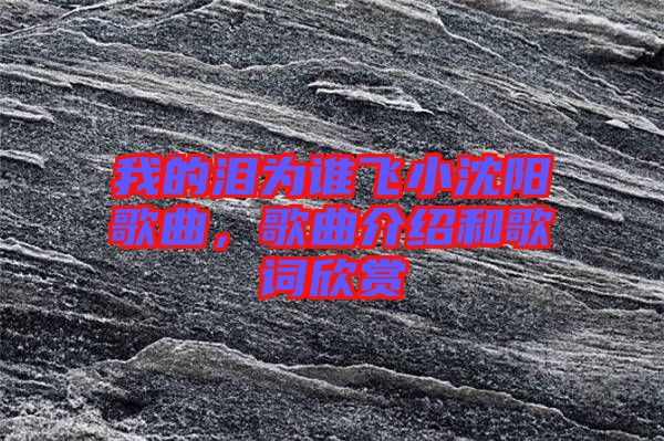 我的淚為誰飛小沈陽歌曲，歌曲介紹和歌詞欣賞