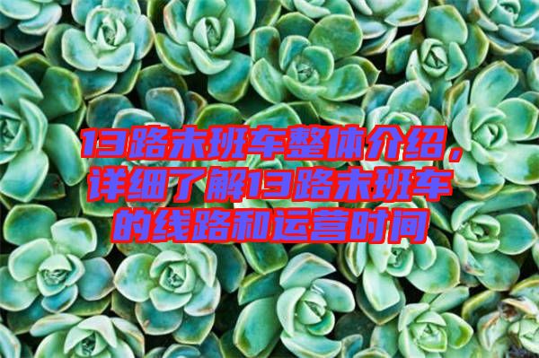 13路末班車整體介紹，詳細(xì)了解13路末班車的線路和運(yùn)營(yíng)時(shí)間