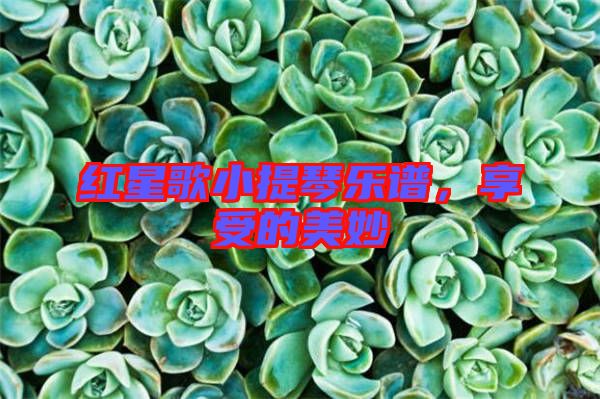 紅星歌小提琴樂譜，享受的美妙