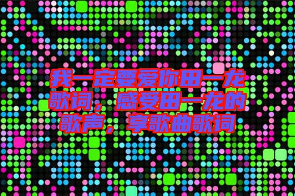 我一定要愛(ài)你田一龍歌詞，感受田一龍的歌聲，享歌曲歌詞