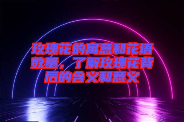 玫瑰花的寓意和花語數(shù)量，了解玫瑰花背后的含義和意義