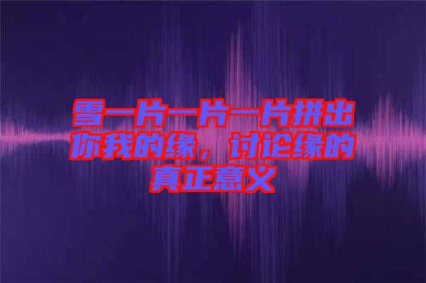 雪一片一片一片拼出你我的緣，討論緣的真正意義