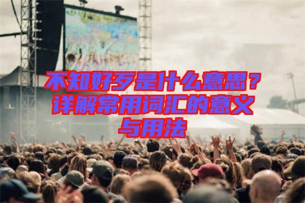 不知好歹是什么意思？詳解常用詞匯的意義與用法