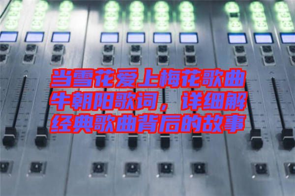 當(dāng)雪花愛上梅花歌曲牛朝陽歌詞，詳細(xì)解經(jīng)典歌曲背后的故事