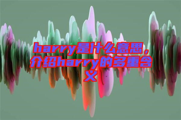 harry是什么意思，介紹harry的多重含義
