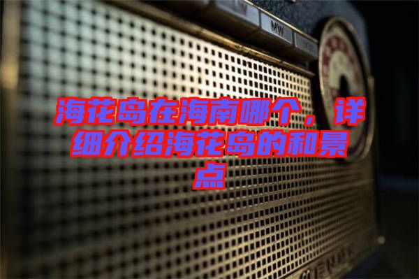 ?；◢u在海南哪個，詳細介紹海花島的和景點