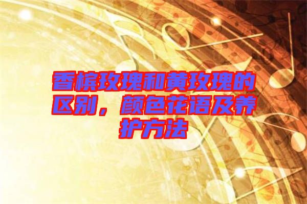 香檳玫瑰和黃玫瑰的區(qū)別，顏色花語及養(yǎng)護(hù)方法