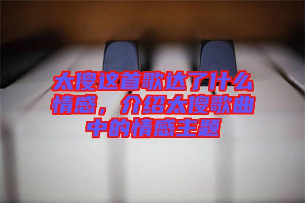 太傻這首歌達了什么情感，介紹太傻歌曲中的情感主題