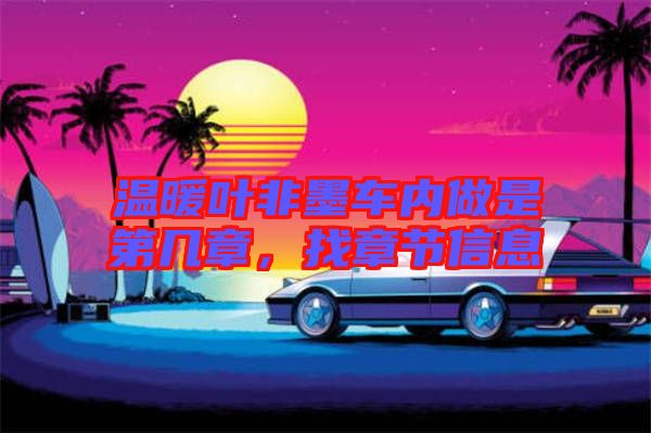 溫暖葉非墨車內(nèi)做是第幾章，找章節(jié)信息