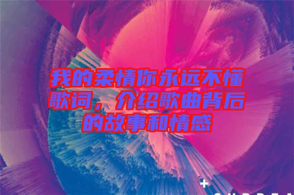 我的柔情你永遠不懂歌詞，介紹歌曲背后的故事和情感