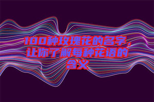 100種玫瑰花的名字，讓你了解每種花語的含義
