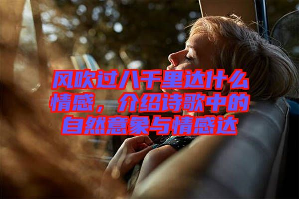 風(fēng)吹過八千里達(dá)什么情感，介紹詩歌中的自然意象與情感達(dá)