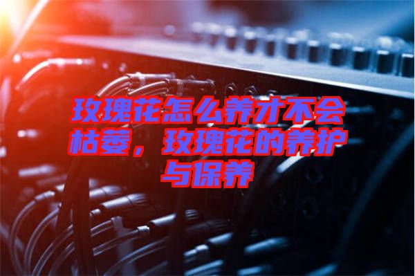 玫瑰花怎么養(yǎng)才不會枯萎，玫瑰花的養(yǎng)護與保養(yǎng)