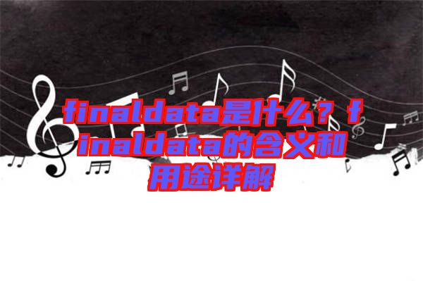finaldata是什么？finaldata的含義和用途詳解