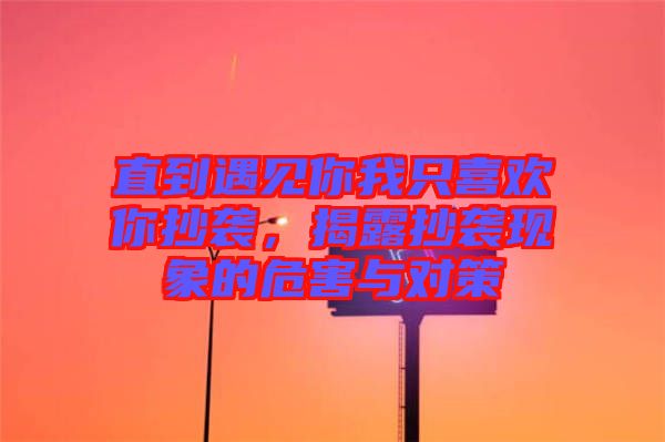 直到遇見你我只喜歡你抄襲，揭露抄襲現(xiàn)象的危害與對策