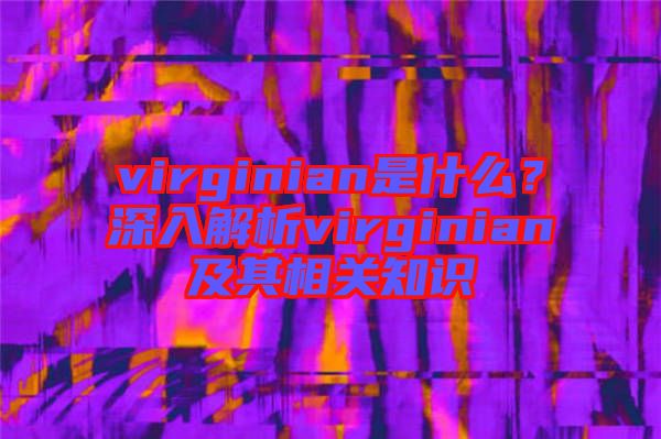 virginian是什么？深入解析virginian及其相關(guān)知識(shí)