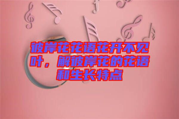 彼岸花花語花開不見葉，解彼岸花的花語和生長特點