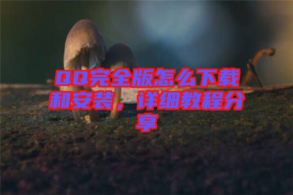 QQ完全版怎么下載和安裝，詳細教程分享