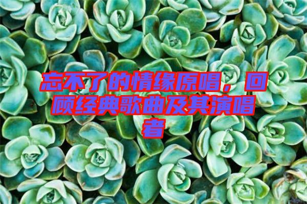忘不了的情緣原唱，回顧經(jīng)典歌曲及其演唱者