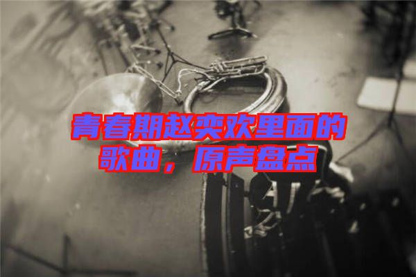 青春期趙奕歡里面的歌曲，原聲盤點(diǎn)