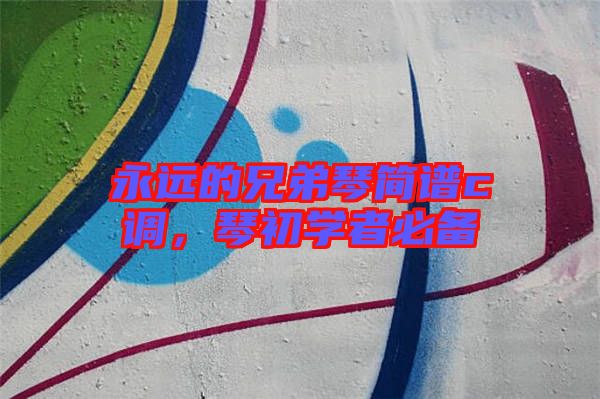 永遠(yuǎn)的兄弟琴簡譜c調(diào)，琴初學(xué)者必備