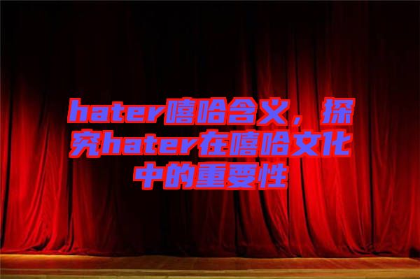 hater嘻哈含義，探究hater在嘻哈文化中的重要性