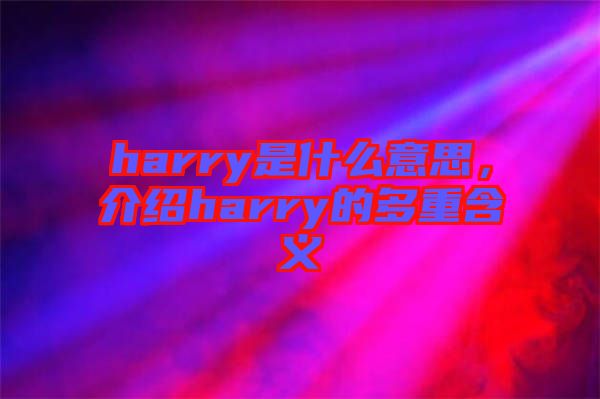harry是什么意思，介紹harry的多重含義