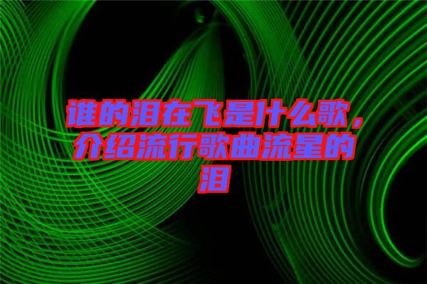 誰的淚在飛是什么歌，介紹流行歌曲流星的淚