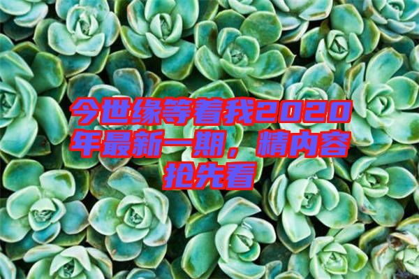 今世緣等著我2020年最新一期，精內(nèi)容搶先看