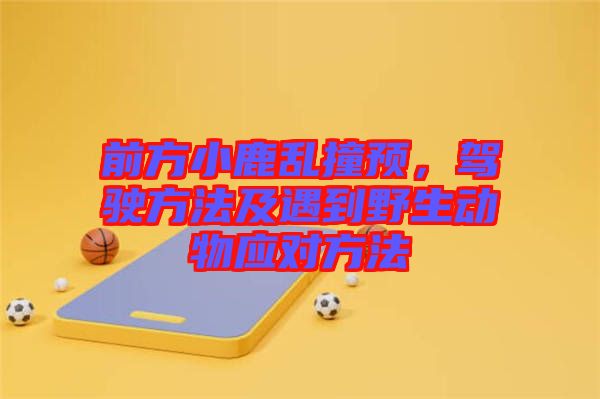 前方小鹿亂撞預(yù)，駕駛方法及遇到野生動(dòng)物應(yīng)對(duì)方法