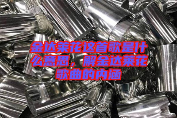 金達(dá)萊花這首歌是什么意思，解金達(dá)萊花歌曲的內(nèi)涵