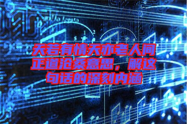 天若有情天亦老人間正道滄桑意思，解這句話的深刻內(nèi)涵