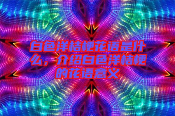 白色洋桔?；ㄕZ是什么，介紹白色洋桔梗的花語意義