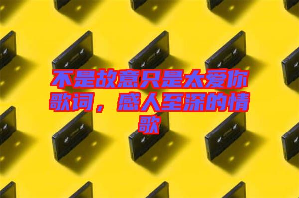 不是故意只是太愛你歌詞，感人至深的情歌