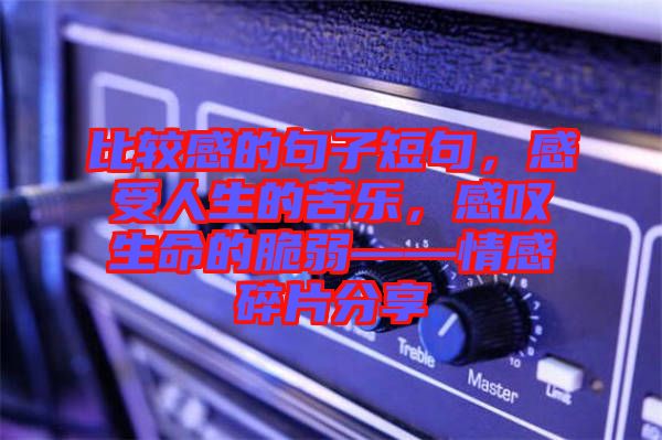 比較感的句子短句，感受人生的苦樂，感嘆生命的脆弱——情感碎片分享