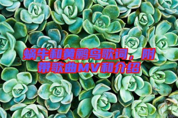 蝸牛和黃鸝鳥(niǎo)歌詞，附帶歌曲MV和介紹